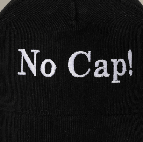 NO CAP! Embroidered Corduroy Baseball Cap - Hautefull